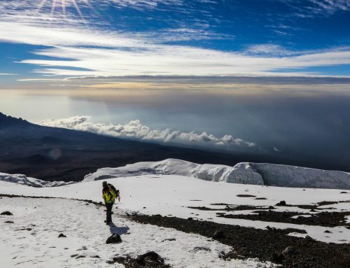 Mount Kilimanjaro Climbs