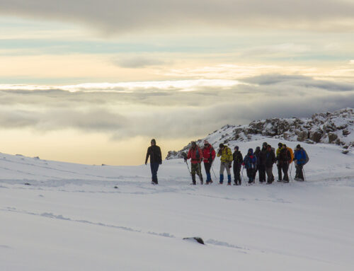 Mount Kilimanjaro Climbs