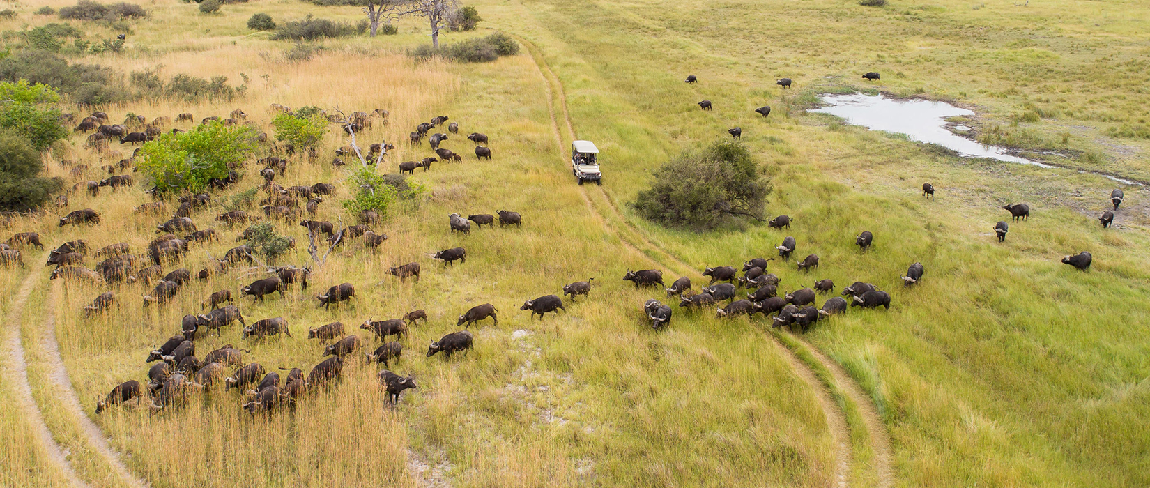 Sense of Africa - Botswana Tours