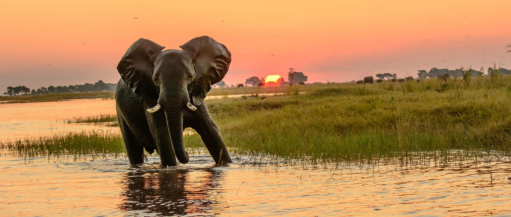 Sense of Africa - Botswana Tours