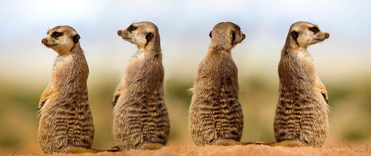 Sense of Africa - Namibia Tours