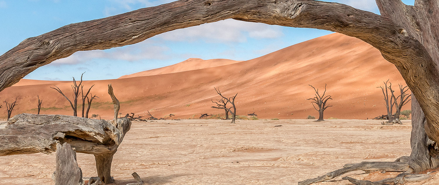 Sense of Africa - Namibia Tours
