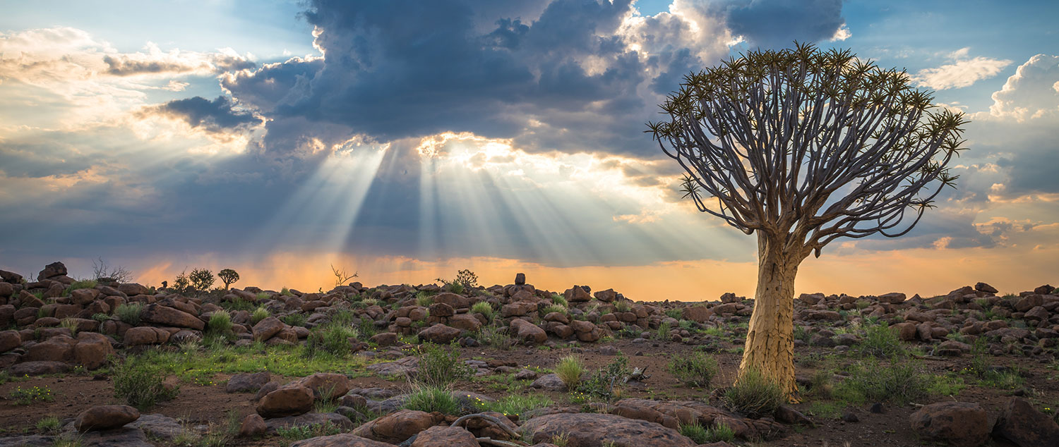 Sense of Africa - Namibia Tours