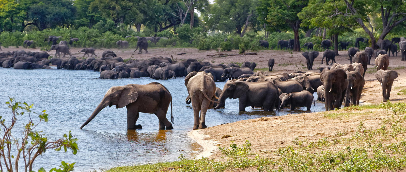 Sense of Africa - Botswana Tours
