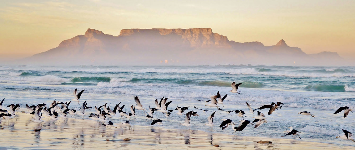 Sense of Africa - Namibia Tours